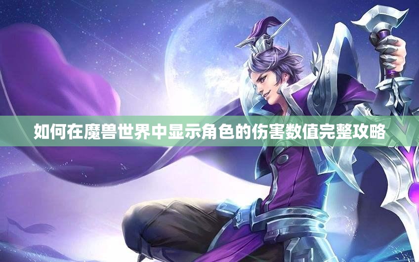 如何在魔兽世界中显示角色的伤害数值完整攻略