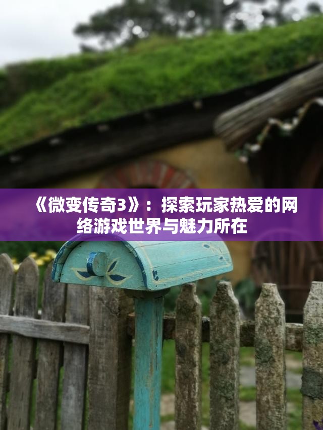 《微变传奇3》：探索玩家热爱的网络游戏世界与魅力所在
