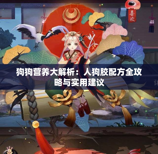 狗狗营养大解析：人狗胶配方全攻略与实用建议