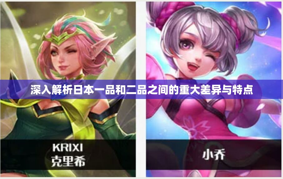 深入解析日本一品和二品之间的重大差异与特点