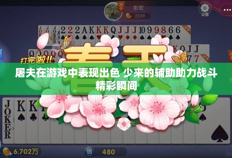 屠夫在游戏中表现出色 少来的辅助助力战斗精彩瞬间