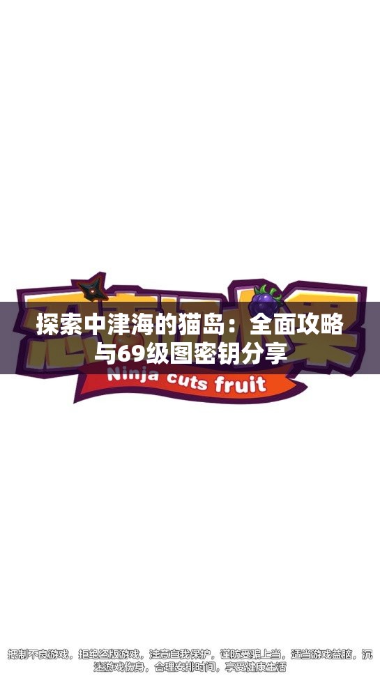 探索中津海的猫岛：全面攻略与69级图密钥分享